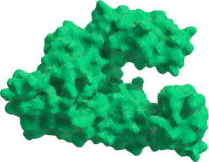processivity DNA polymerase